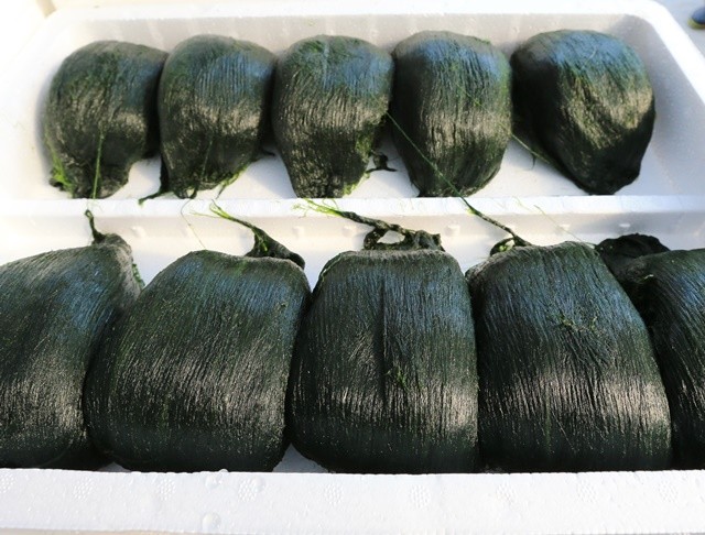 완도 겨울 별미(매생이)