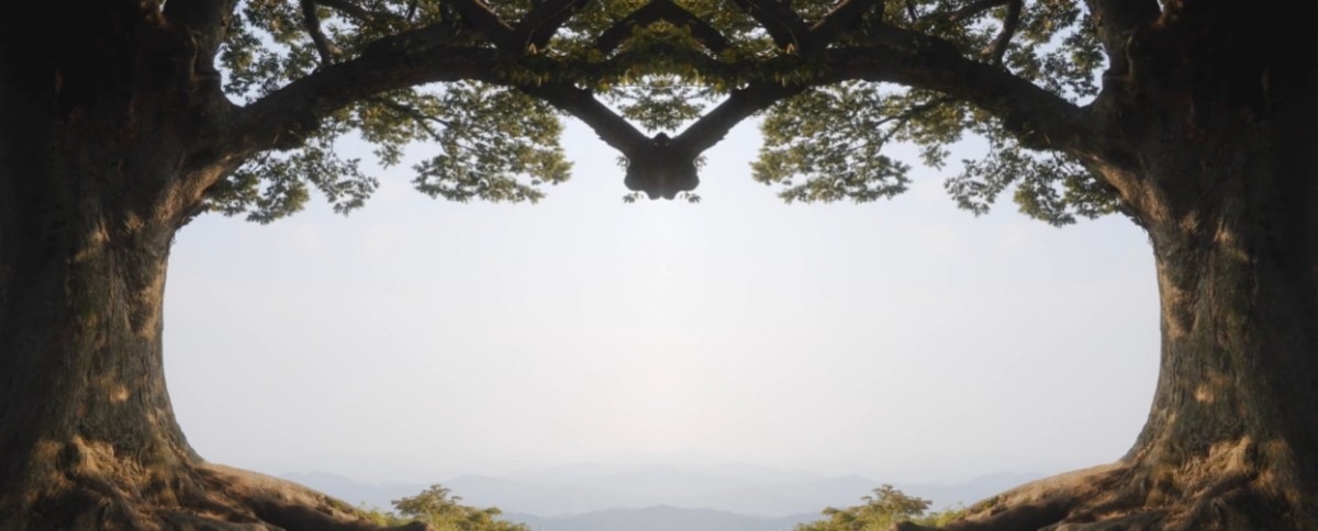 성흥산 사랑나무. / 유튜브 '둘시네아 dulcinea'