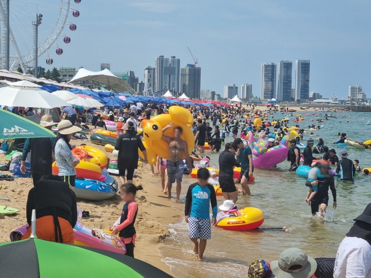 속초해수욕장을 찾은 피서객들이 물놀이를 즐기고 있다. / 뉴스1