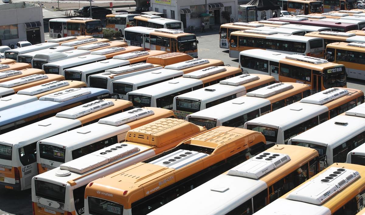 어르신 교통카드 사용해야 / 뉴스1