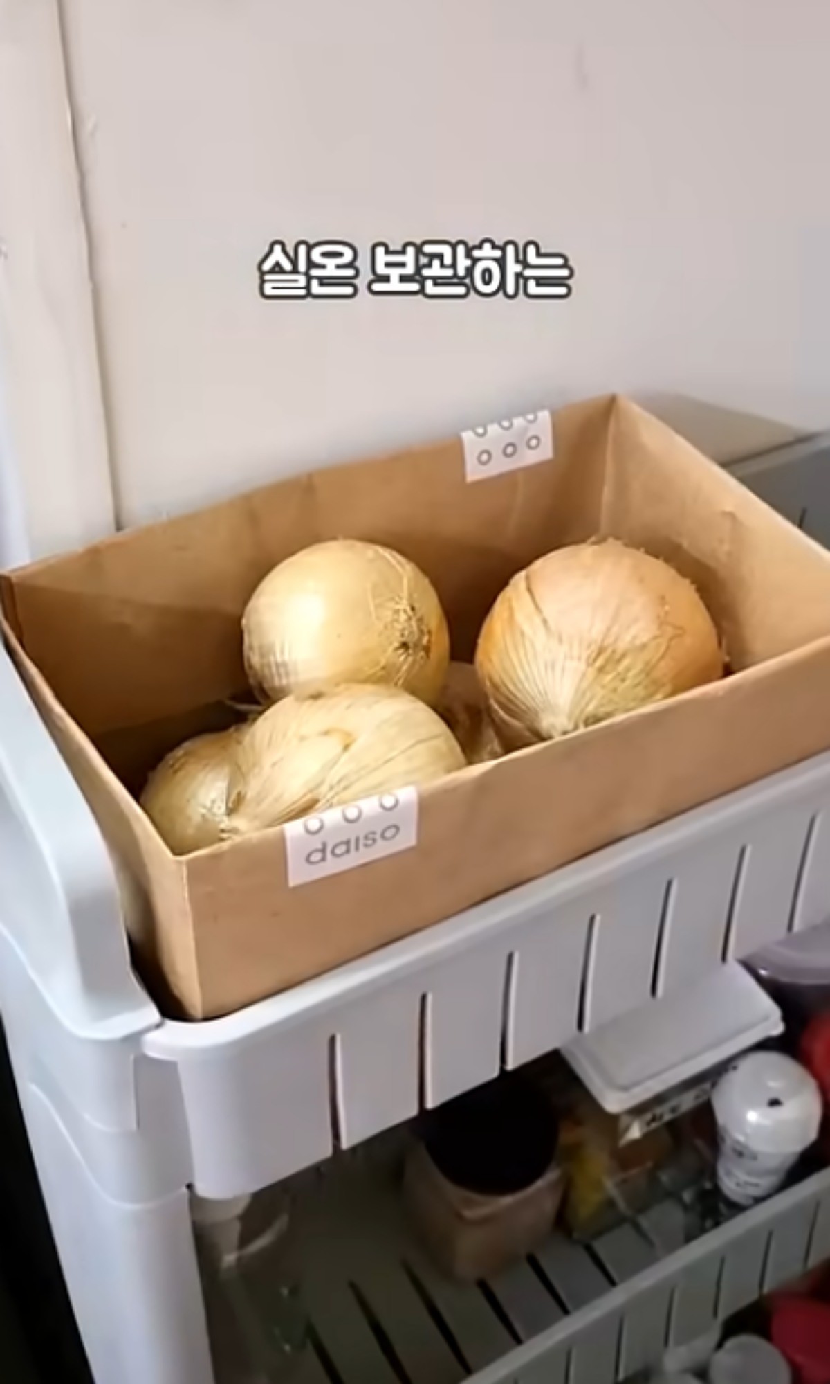 채소 보관함으로 활용할 수 있는 종이가방 / 유튜브 '톡리뷰'