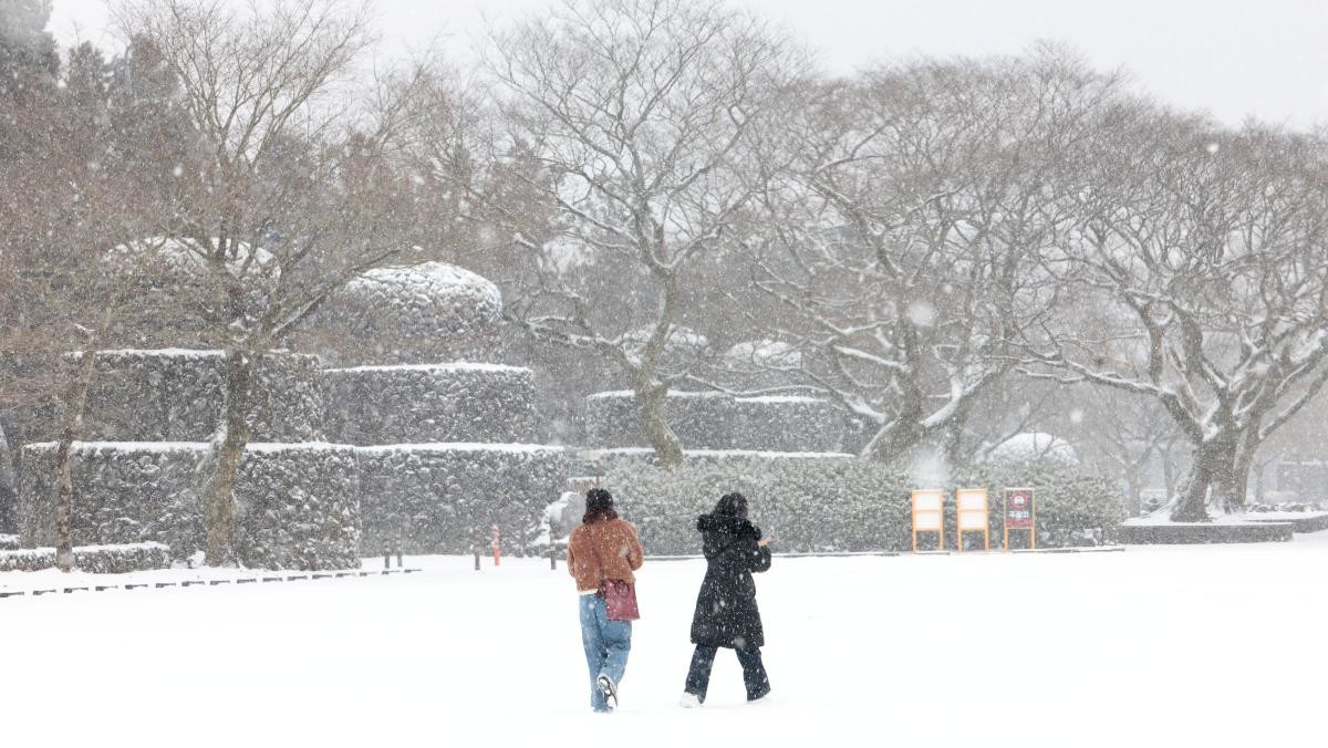 제주도 산지에 대설특보가 내려진 22일 오전 제주시 조천읍 교래리 산굼부리 입구 모습. / 연합뉴스