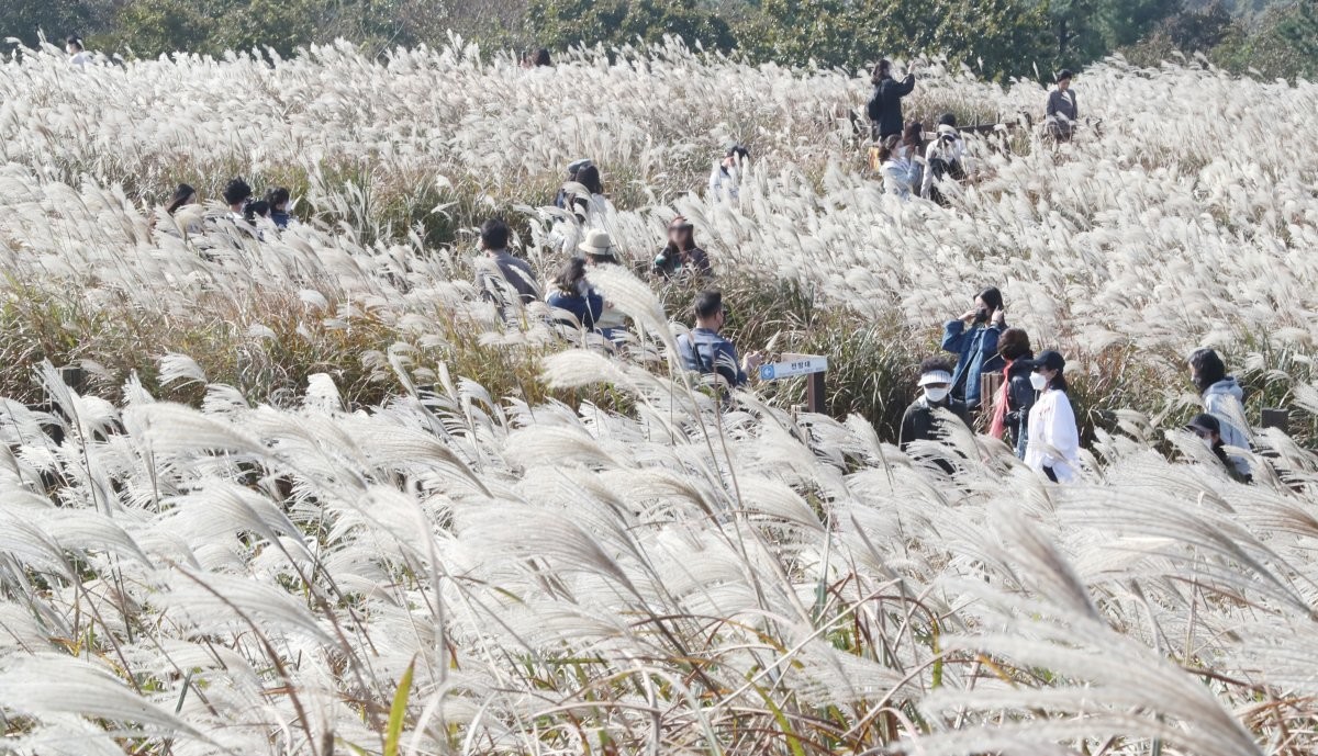 산굼부리. / 뉴스1