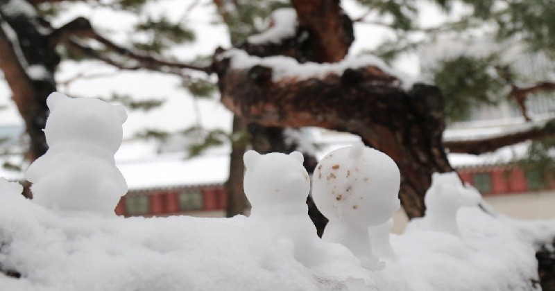 강추위 속 눈 쌓인 겨울 풍경./사진=김지연 기자