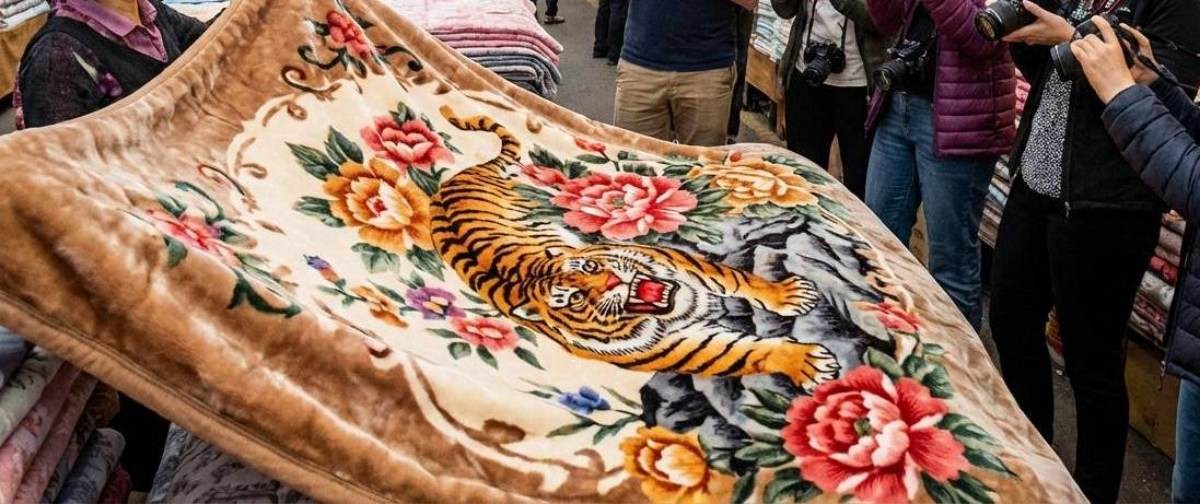 '한국의 호랑이 담요?!' 기사 내용 토대로 AI툴 활용해 제작한 자료사진.