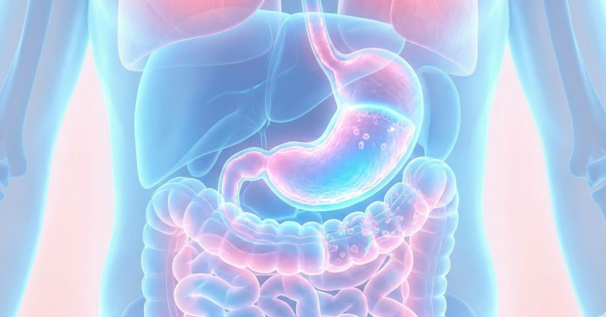 단순 자료 사진. 기사 이해를 돕기 위해 AI로 제작한 이미지.