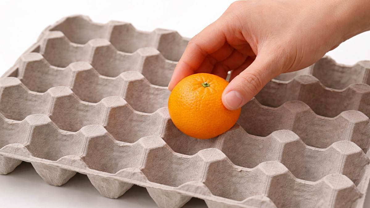 '귤을 계란판에 올려보자?!' 기사 내용 토대로 AI툴 활용해 제작한 자료사진.