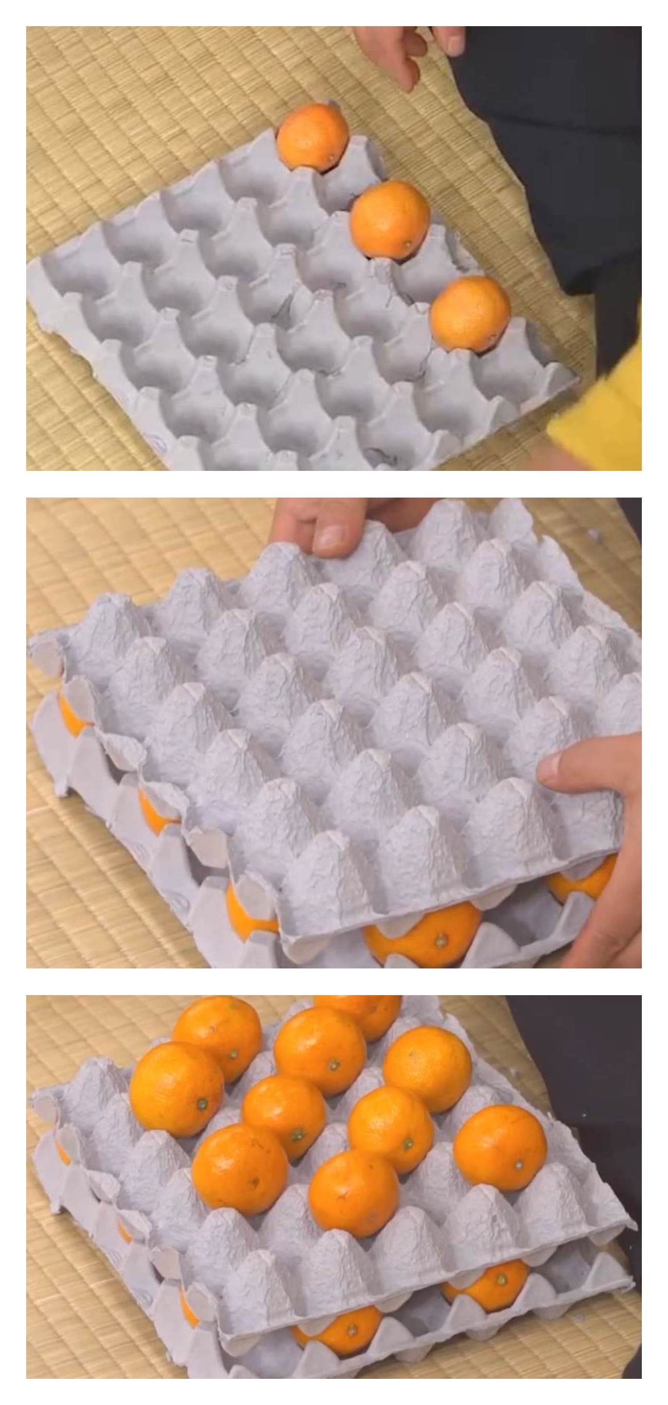 계란판 '귤' 보관 방법 꿀팁 대방출. /     유튜브 'MBN Entertainment'