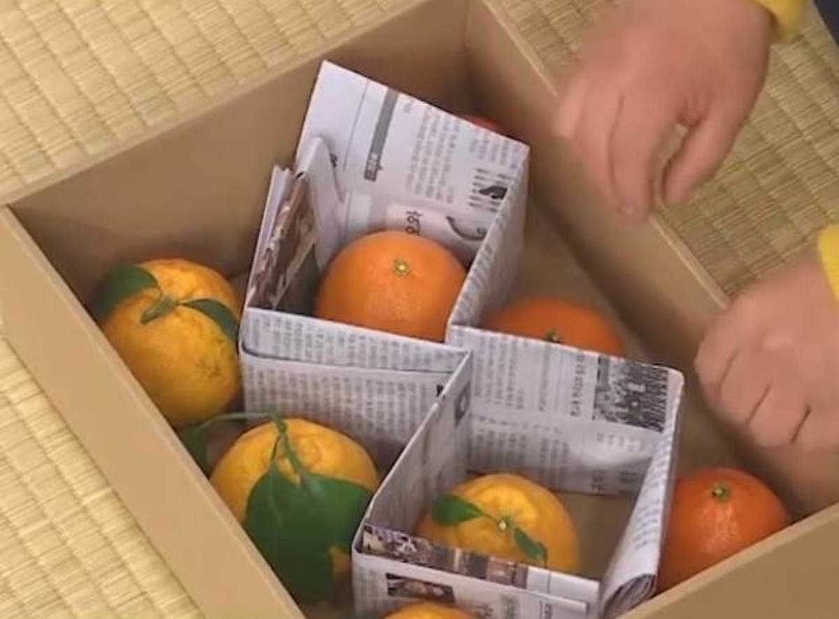 한라봉이나 천혜향처럼 크고 향이 강한 만감류 보관 방법. / 유튜브 'MBN Entertainment'