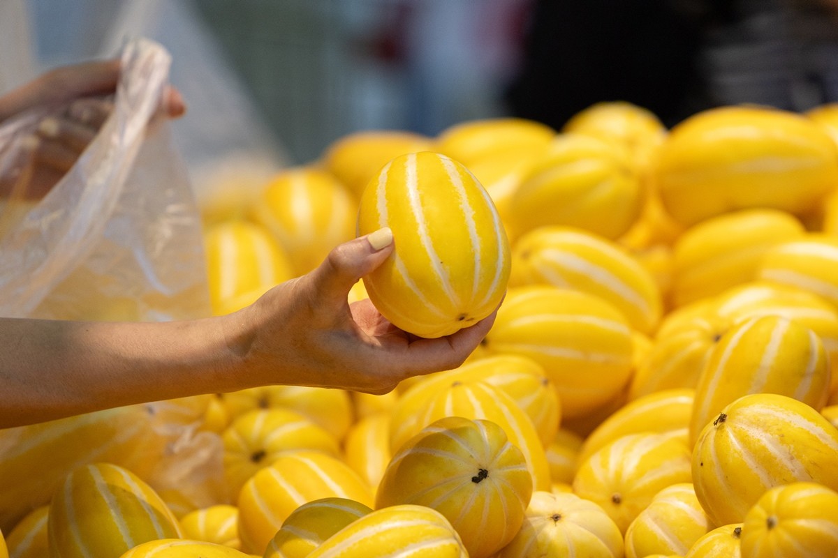 한국에서 여름 대표 과일로 꼽히는 참외 / 뉴스1
