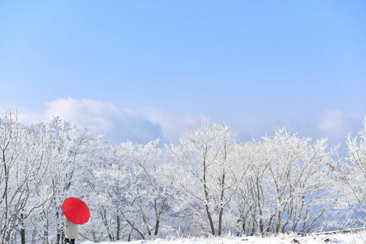 만항재 설경. / 정선군 공식 블로그