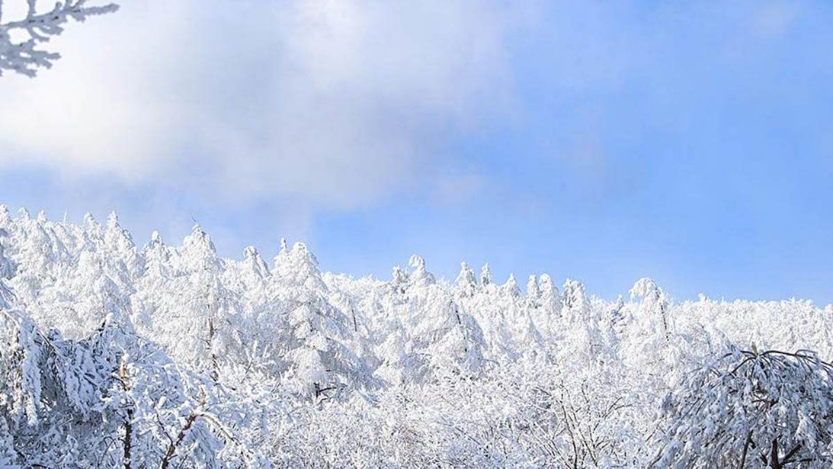 최고의 '설경' 드라이브 코스 만항재. / 정선군청