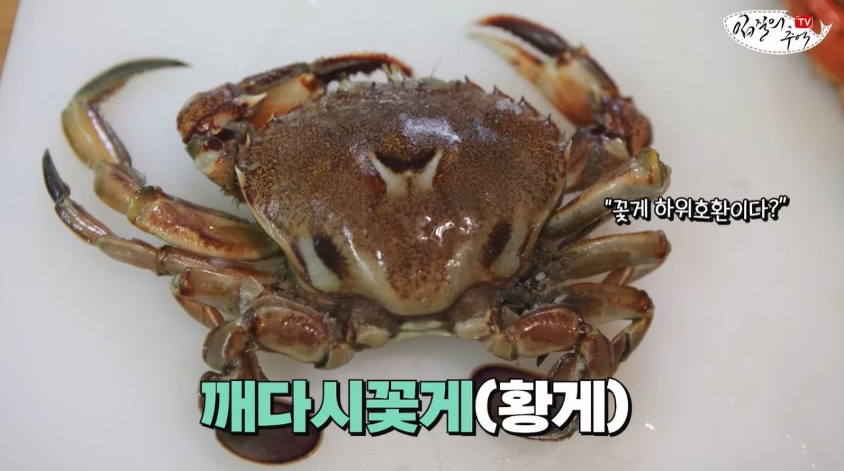 '깨다시꽃게'의 모습. / 유튜브 '입질의추억TV jiminTV'