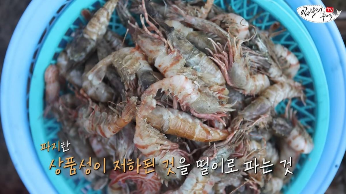 '파지 새우'의 모습. 파지란 '상품성이 저하된 것을 떨이로 파는 것'이다. / 유튜브 '입질의추억TV jiminTV'