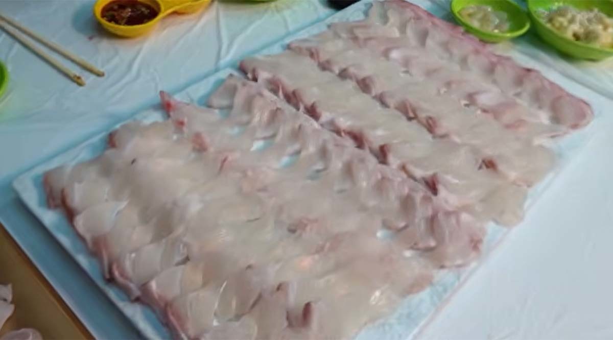 자바리 회 / '리얼깽TV'