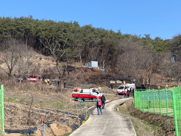 임실 산불대책본부 / 임실군