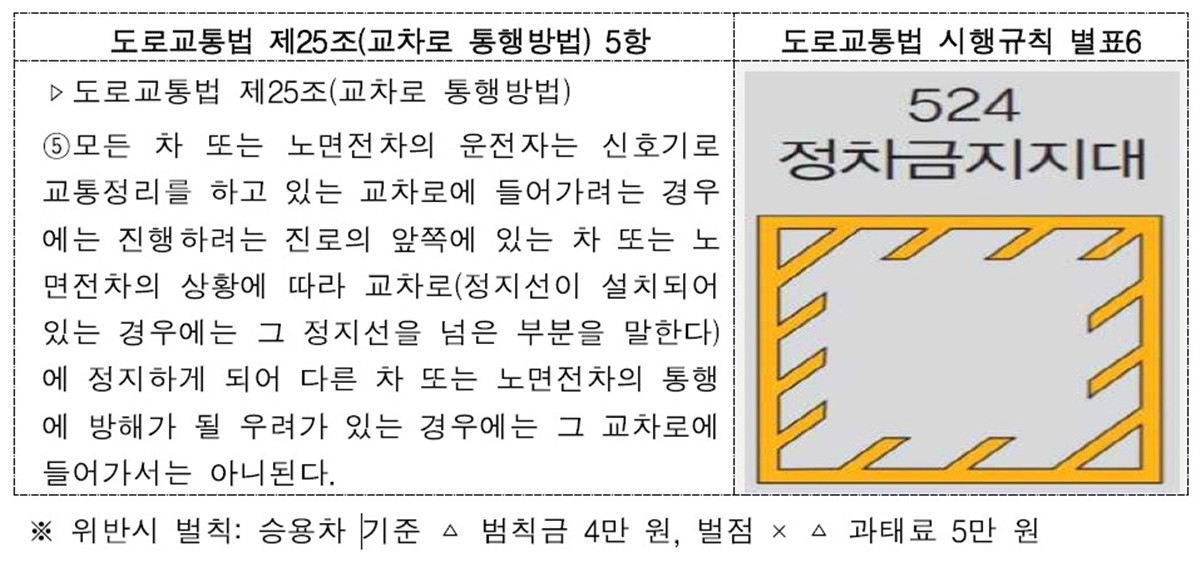 교통안전표지의 일종인 정차금지지대의 모습 / 경찰청 제공