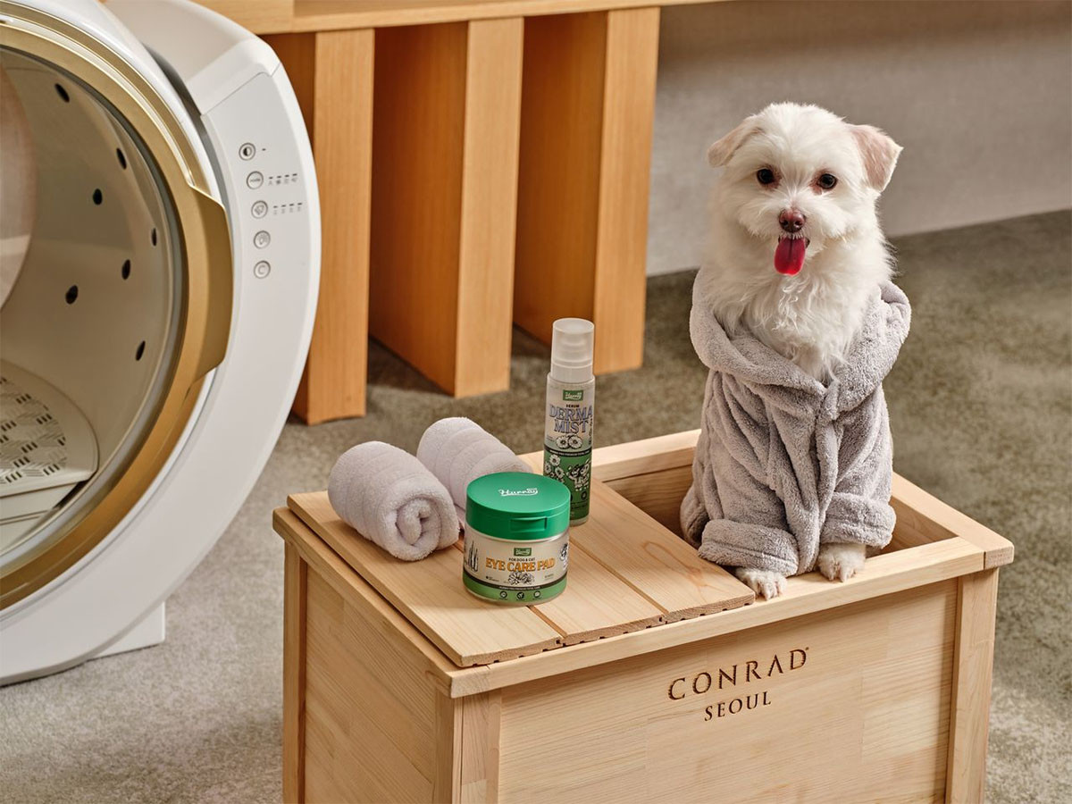 2026 펫 메종 자료 사진. / 콘래드 서울 제공