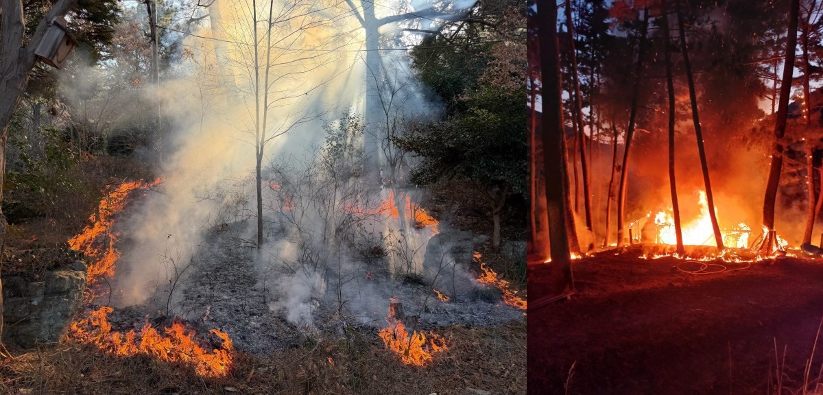 산불사진 / 경남도 제공