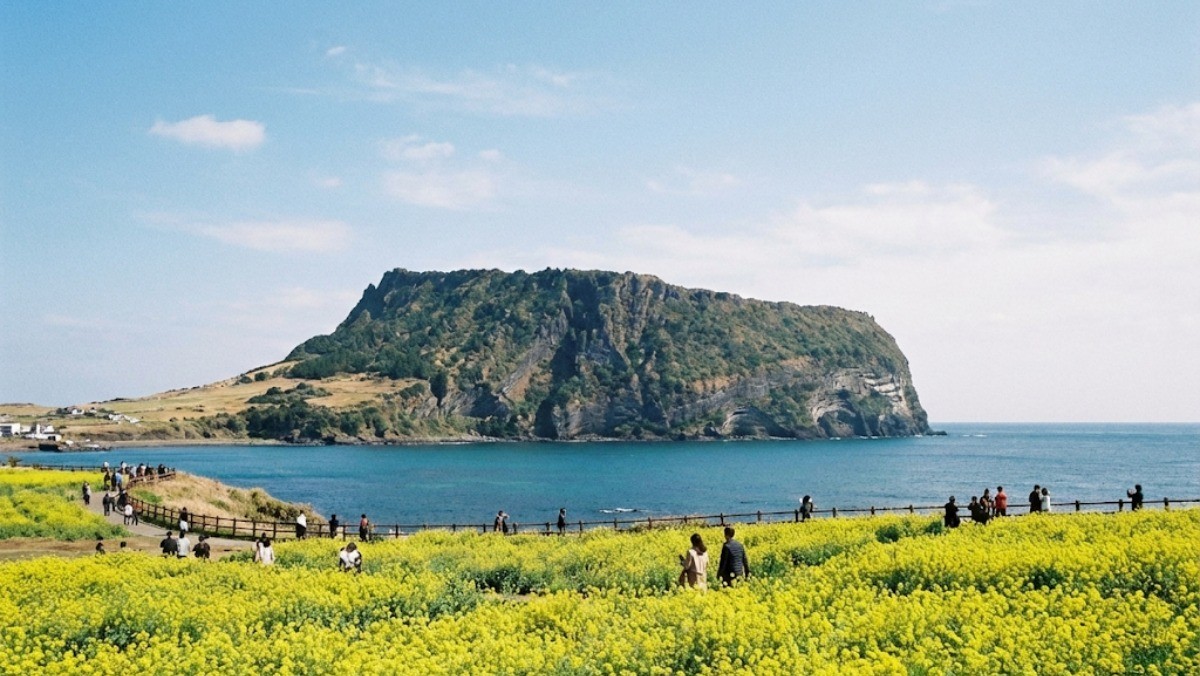 제주도 여행 즐기는 사람들 모습 / 기사 내용을 바탕으로 제작한 AI 이미지
