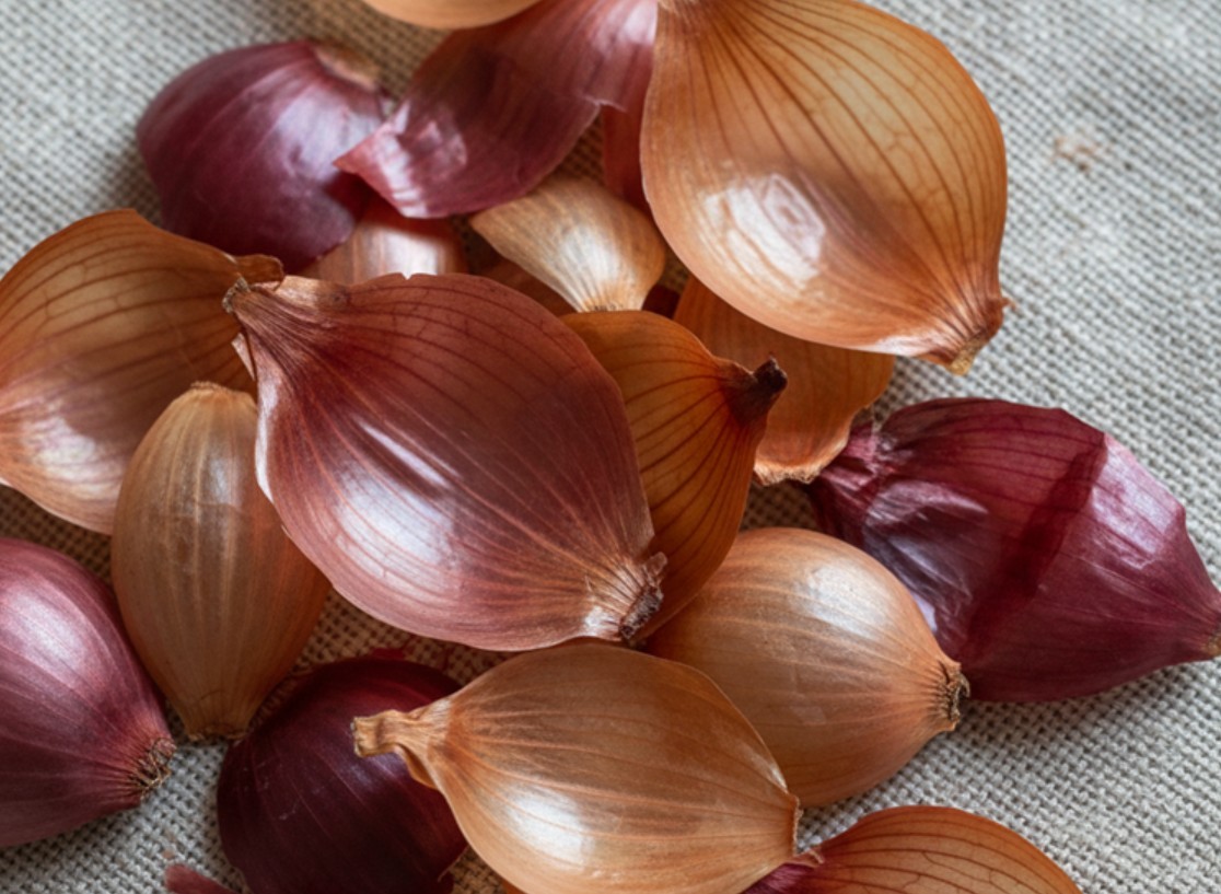 기사의 이해를 돕기 위한 AI 생성 이미지