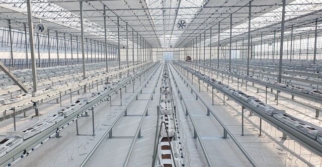 전남영농스마트팜 조성 하우스 내부