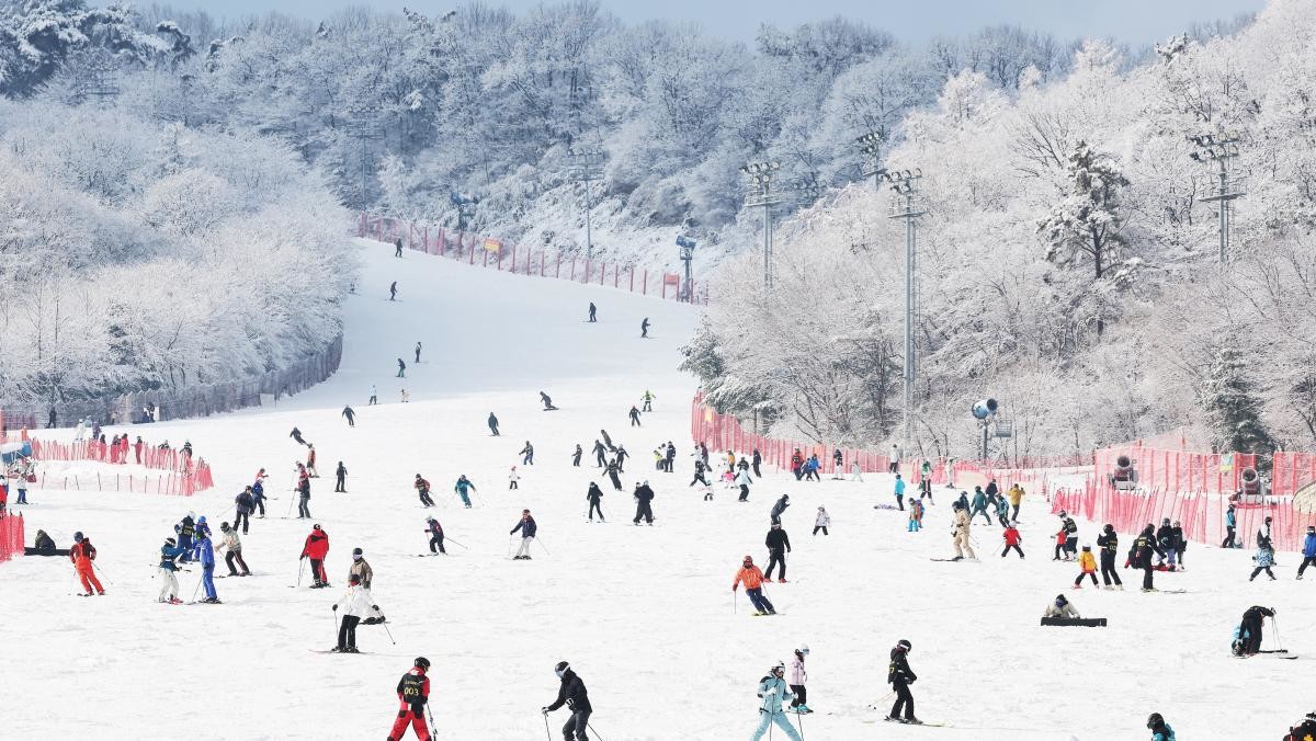 곤지암리조트. / 연합뉴스