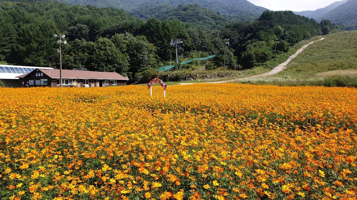 무주 덕유산 리조트 가을 모습. / 뉴스1