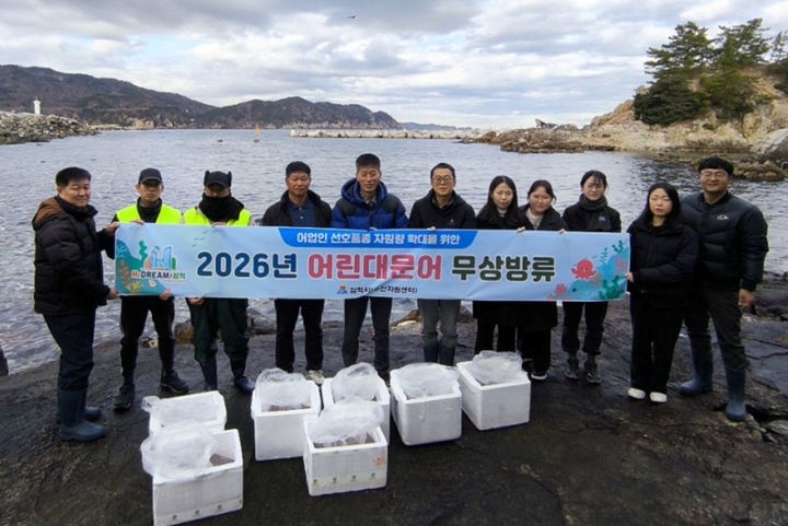 강원 삼척시가 어린 대문어 3만 마리를 무상 방류했다. / 삼척시