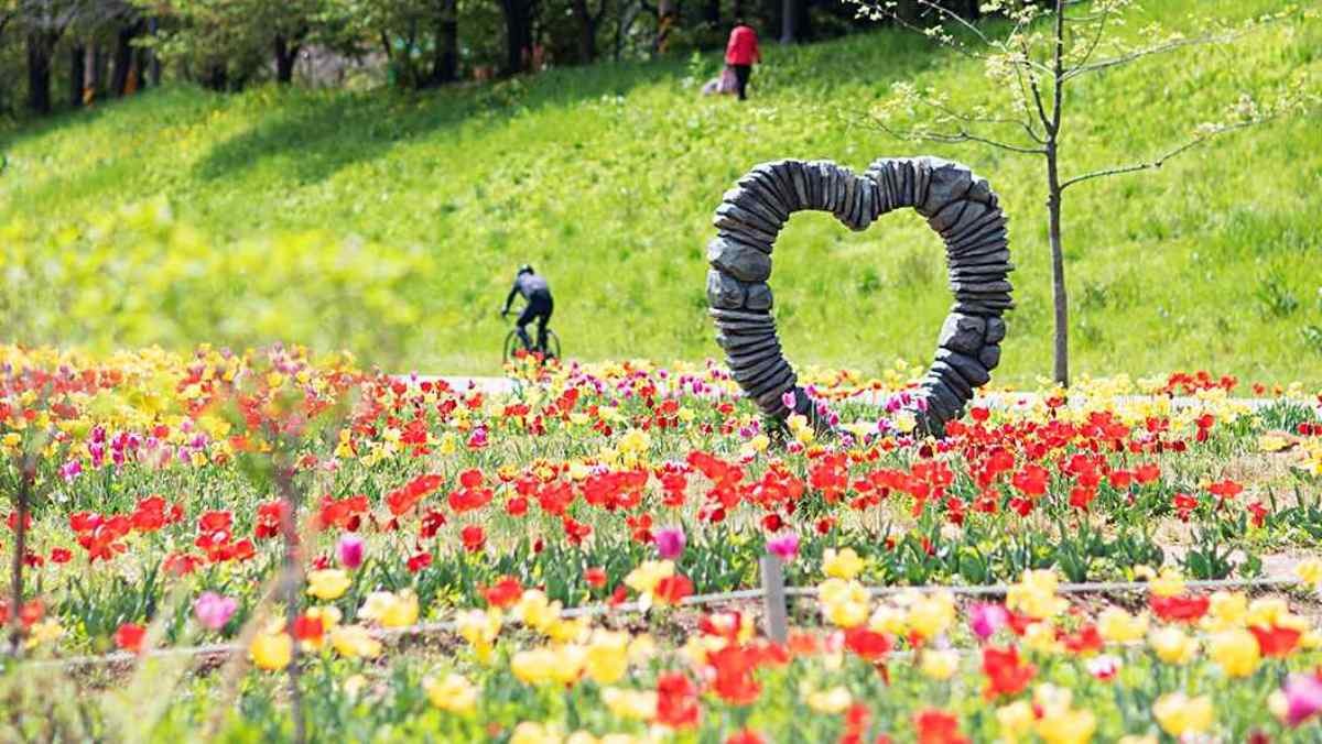 철산 광성초 인근 햇무리육교 앞 안양천 둔치 풍경. / 광명시 공식 페이스북