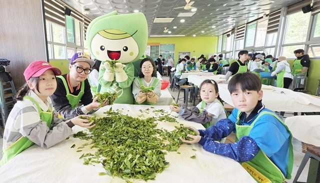 제48회 보성다향대축제