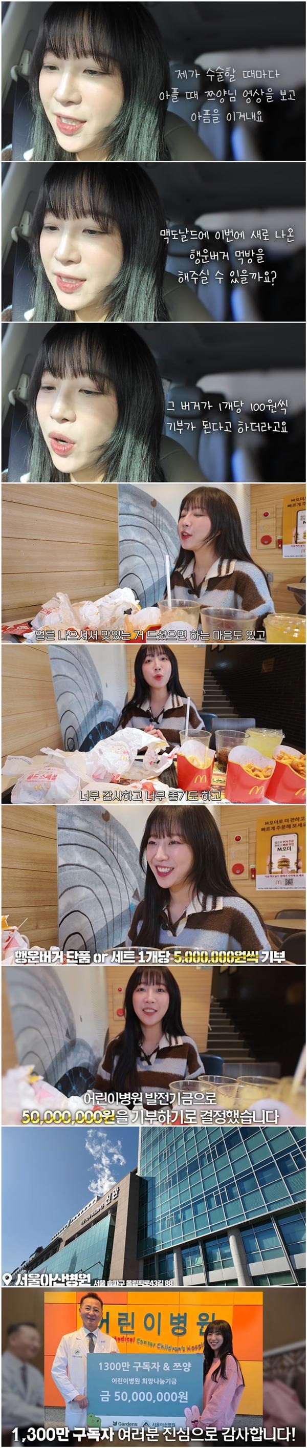 햄버거 먹방 후 서울아산병원에 5000만 원을 기부한 쯔양 / 유튜브 '쯔양'