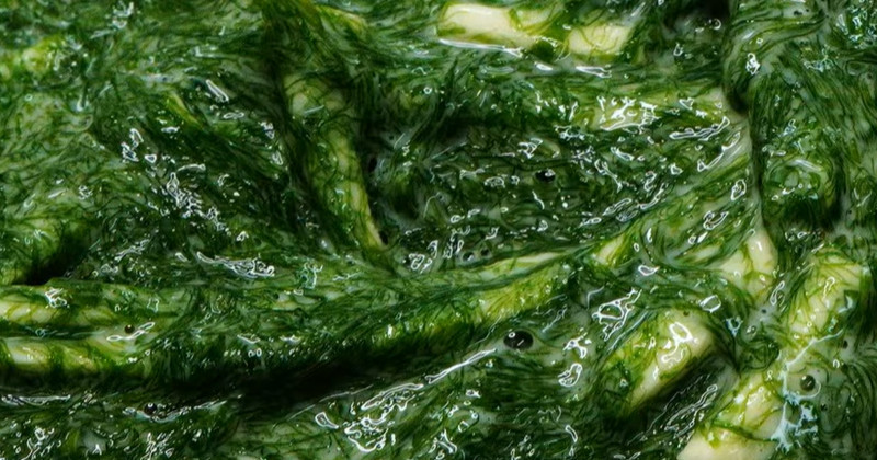 유튜브 '팔숙이 palsook'