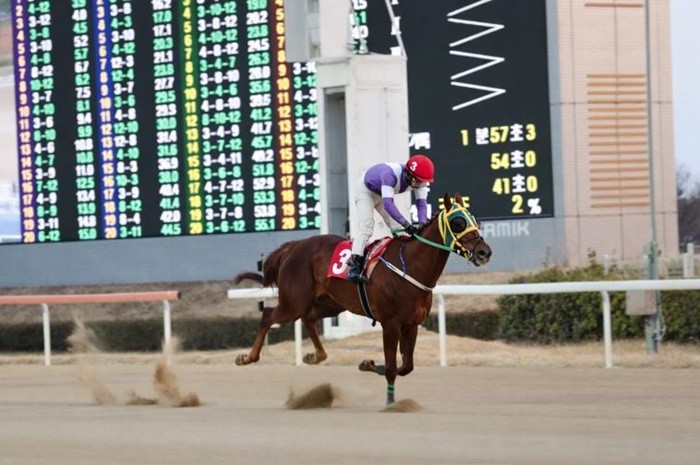 최시대 기수는 지난 23일(금) 렛츠런파크 부산경남 제8경주에서 ‘탐라슈퍼(4세, 거, 김영순 마주, 문현철 조교사)’에 기승해 가장 먼저 결승선을 통과했다.  / 사진제공=렛츠런파크 부산경남