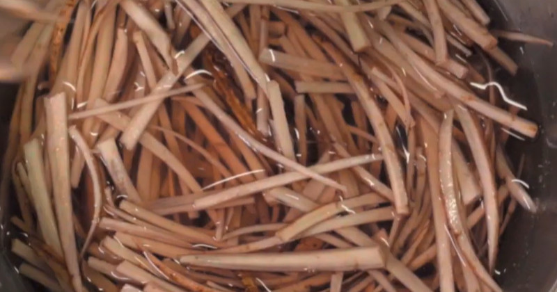 유튜브 '제철음식연구소 season365'