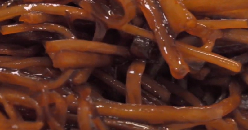 유튜브 '제철음식연구소 season365'