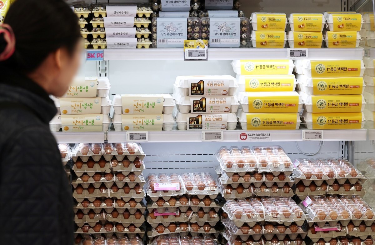 계란 코너를 둘러봬는 사람 자료사진. (기사 속 내용과 직접적 연관은 없음을 밝힙니다.) / 뉴스1