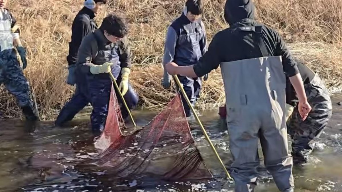 탐사팀이 족대질하는 모습. / 유튜브 ‘TV생물도감’