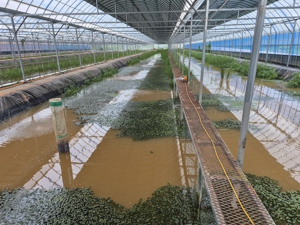 친환경 양식기술 특허 3건 공동 출원 / 전북특별자치도