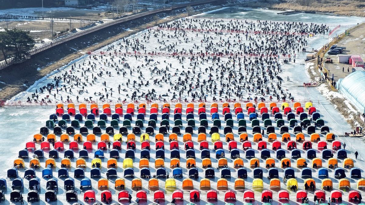 강원도 평창군 진부면 오대천 일원에 열린 평창송어축제. / 뉴스1