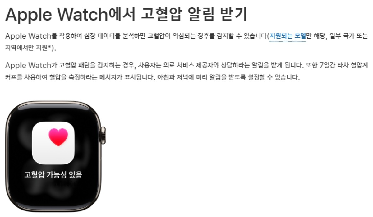 애플워치 ‘고혈압 알림 기능’ / 애플