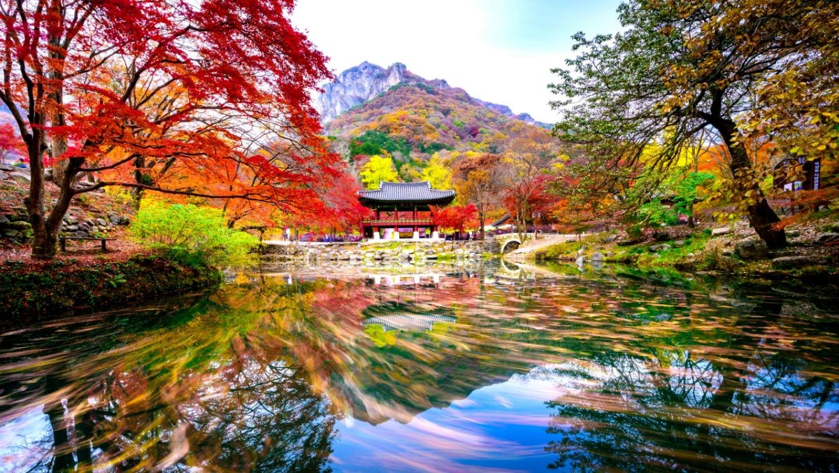 백양사. / 뉴스1