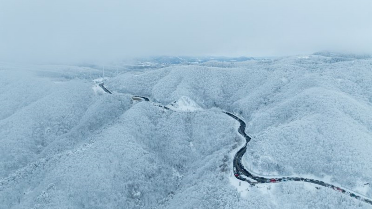 강릉시가 2월 테마 여행지로 추천한 대관령 옛길./ 강릉시 제공
