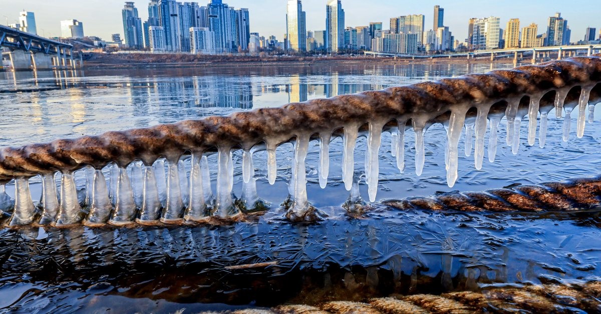 한파 특보로 얼어붙은 한강 / 뉴스1