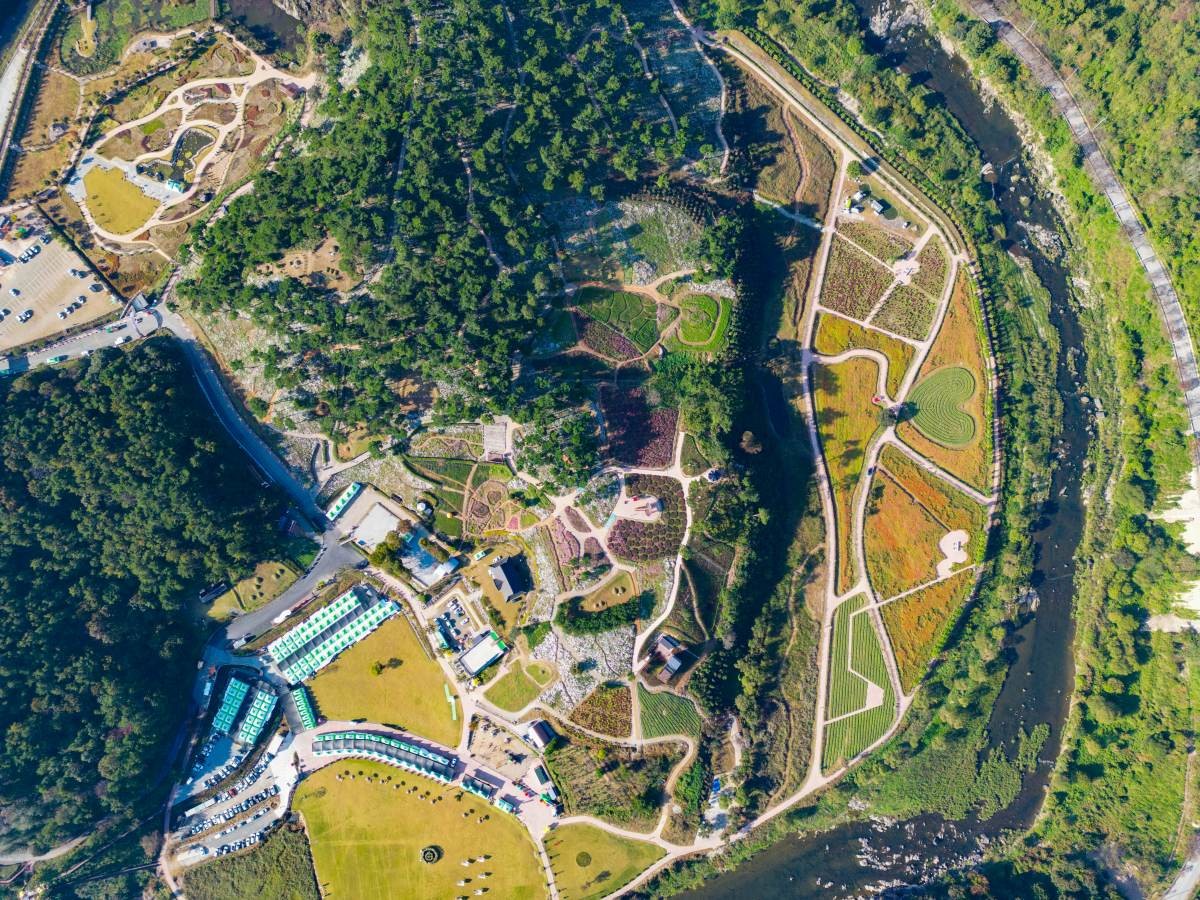 구절초 지방정원. / 연합뉴스