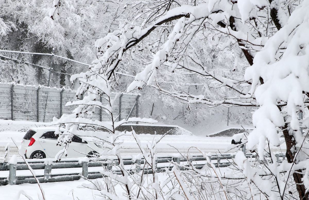 눈 쌓인 대관령 옛길 / 뉴스1