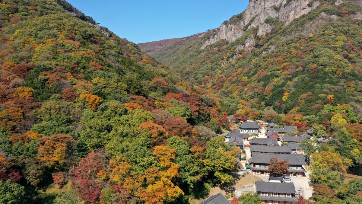 내장산 국립공원. / 연합뉴스
