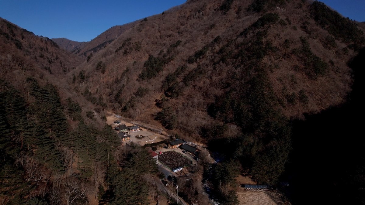 EBS1 '한국기행' 미리보기 페이지에서 제공하는 '오대산 겨울의 맛' 편 자료 사진. / EBS1 제공