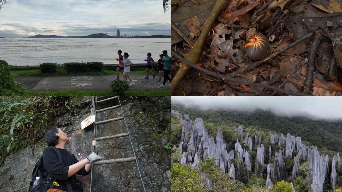 '세계테마기행' 말레이시아 별난 체류기 2부, '우아'한 피너클 도전기 편 자료 사진. / EBS1 제공