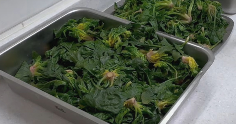 유튜브 'EZCOOK(이지쿡)'